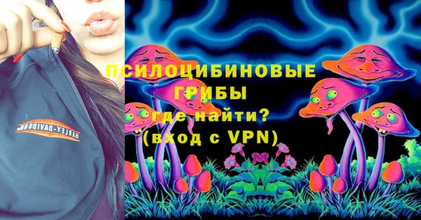 соль курить ск Белокуриха
