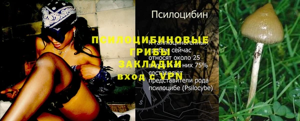 соль курить ск Белокуриха